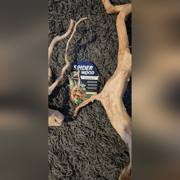 2 Zoo Spider Wood 1 X-Large(20"-23") 1 (11") - Picture 4 of 8